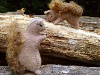 Squirrels Playing